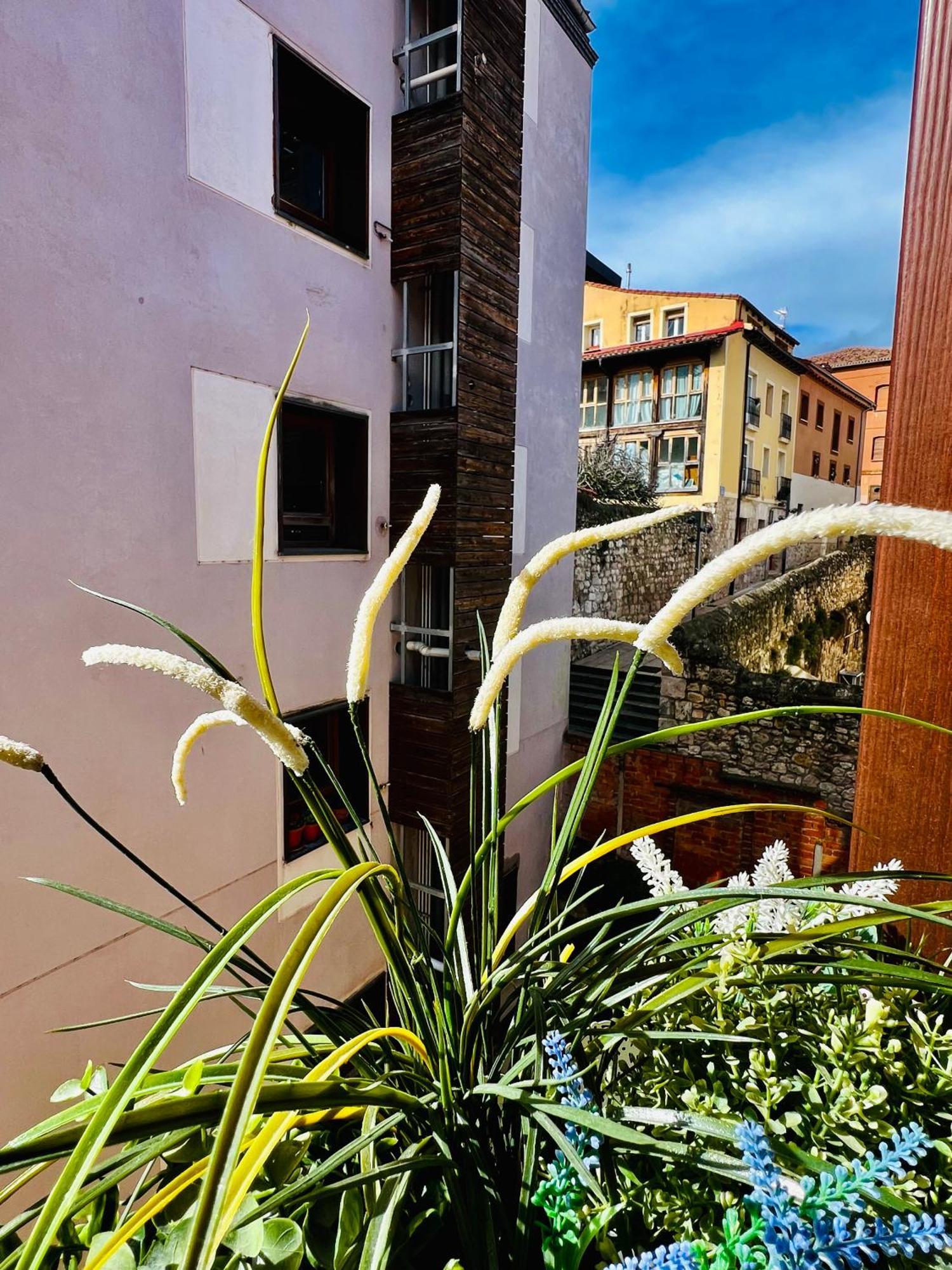 El Capricho De Claudia_ Apartamentos Burgos Catedral 外观 照片